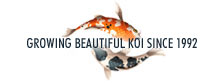 Koi Fish Pond Breeder Farm Sales